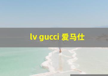 lv gucci 爱马仕